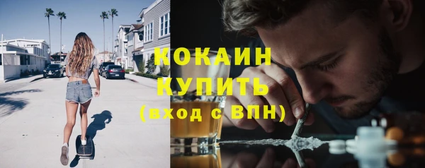 твердый Арсеньев