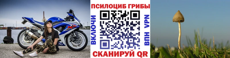 Псилоцибиновые грибы мицелий  купить наркотики сайты  Славск 